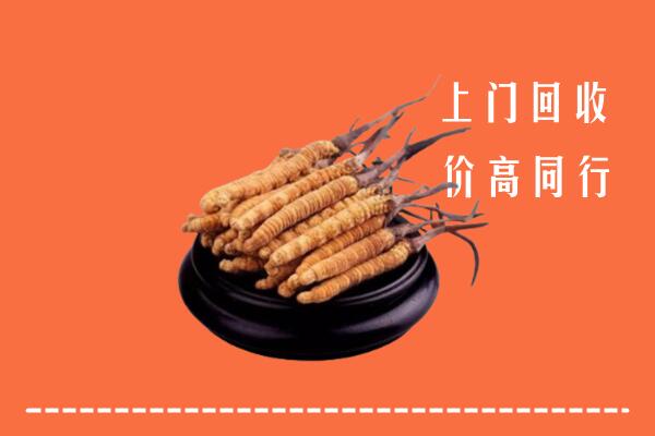 固始回收散虫草