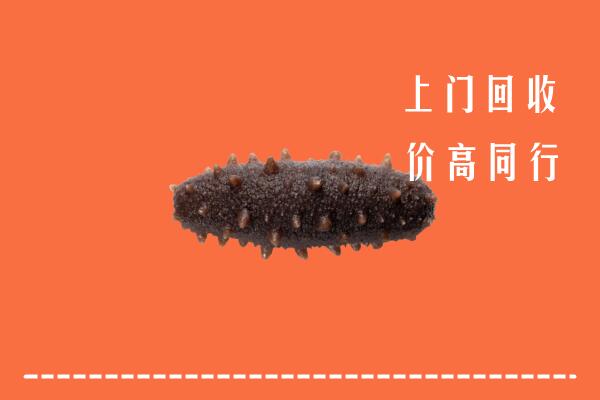 固始回收海参
