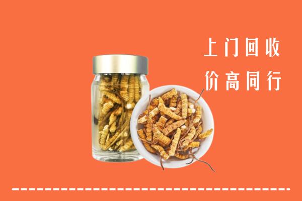 固始回收冬虫夏草